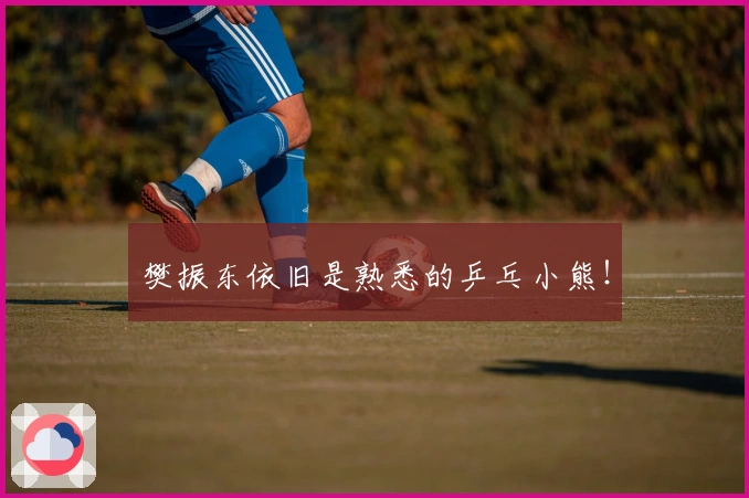 樊振东依旧是熟悉的乒乓小熊！