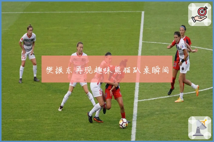 樊振东再现趣味熊猫趴桌瞬间