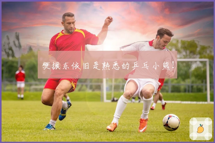 樊振东依旧是熟悉的乒乓小熊！